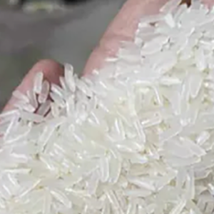 White Rice 5% Broken