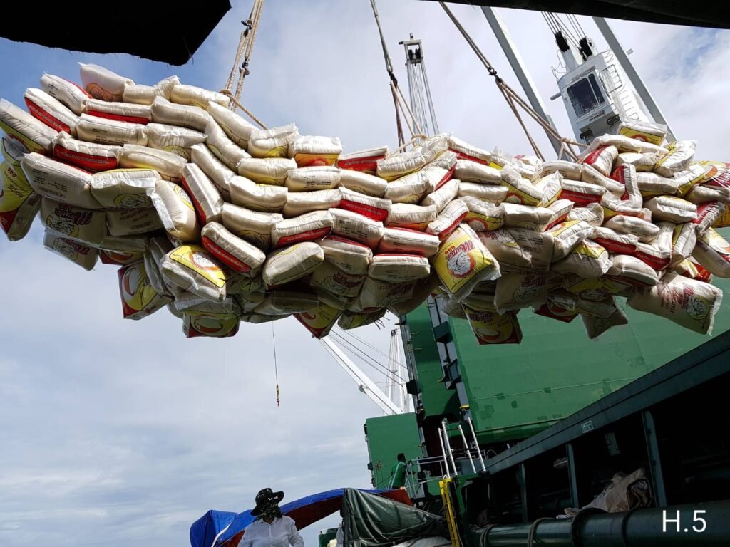 WhatsApp Image 2025-03-17 at 21.03.53